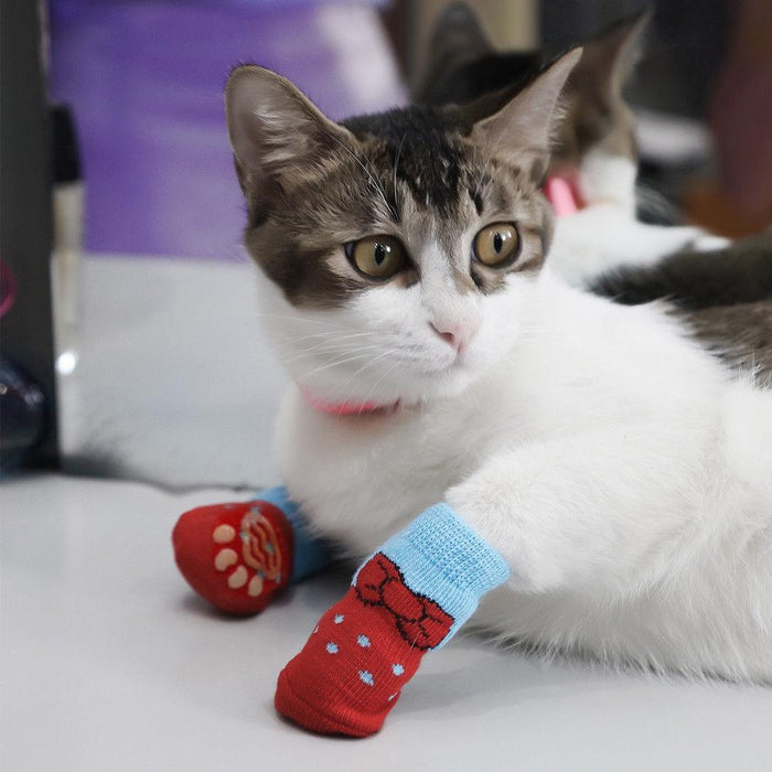 Pet Socks