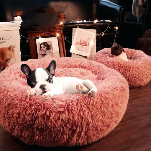 Comfy Calming Dog/Cat Bed